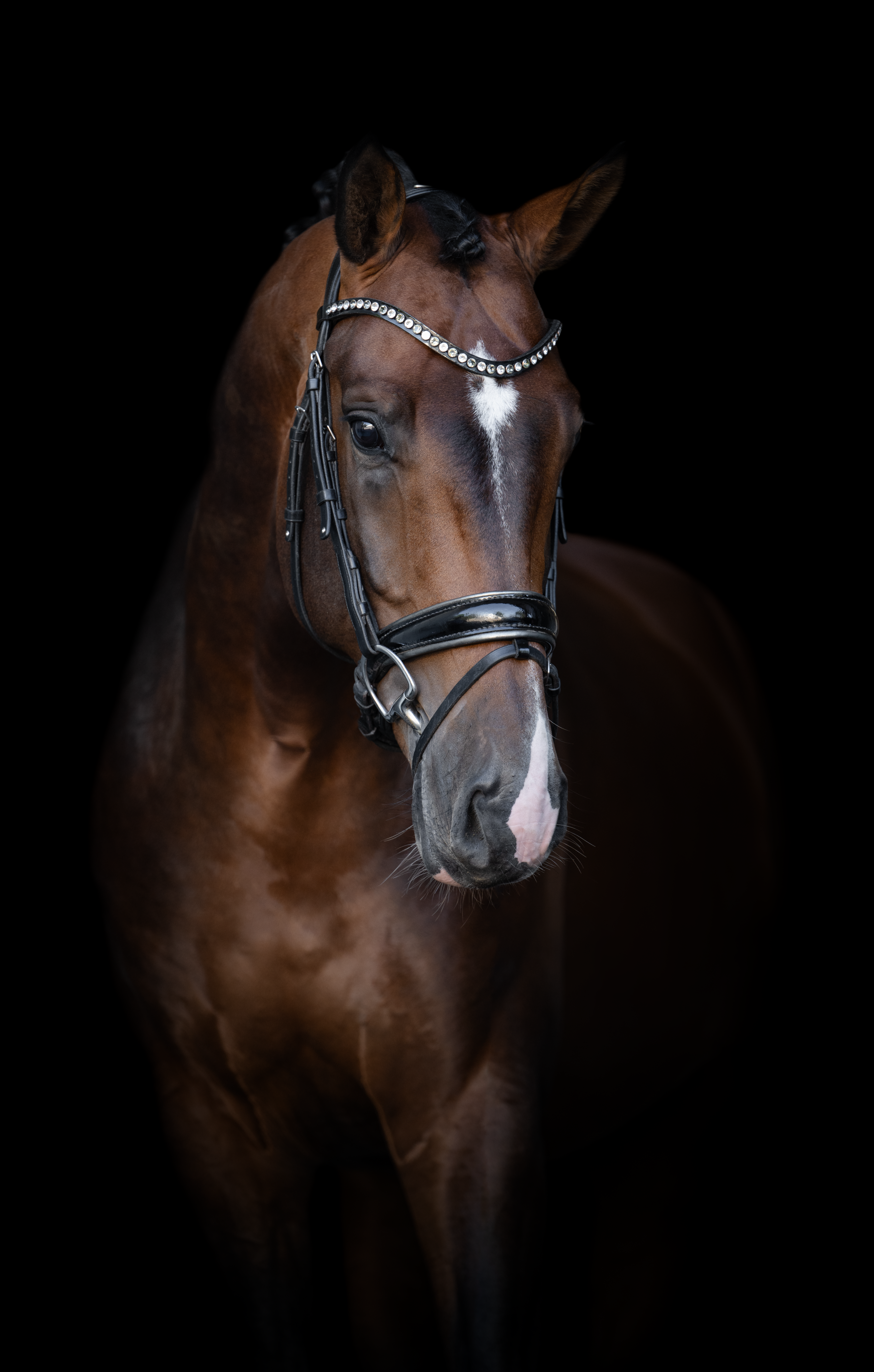 Milli horse