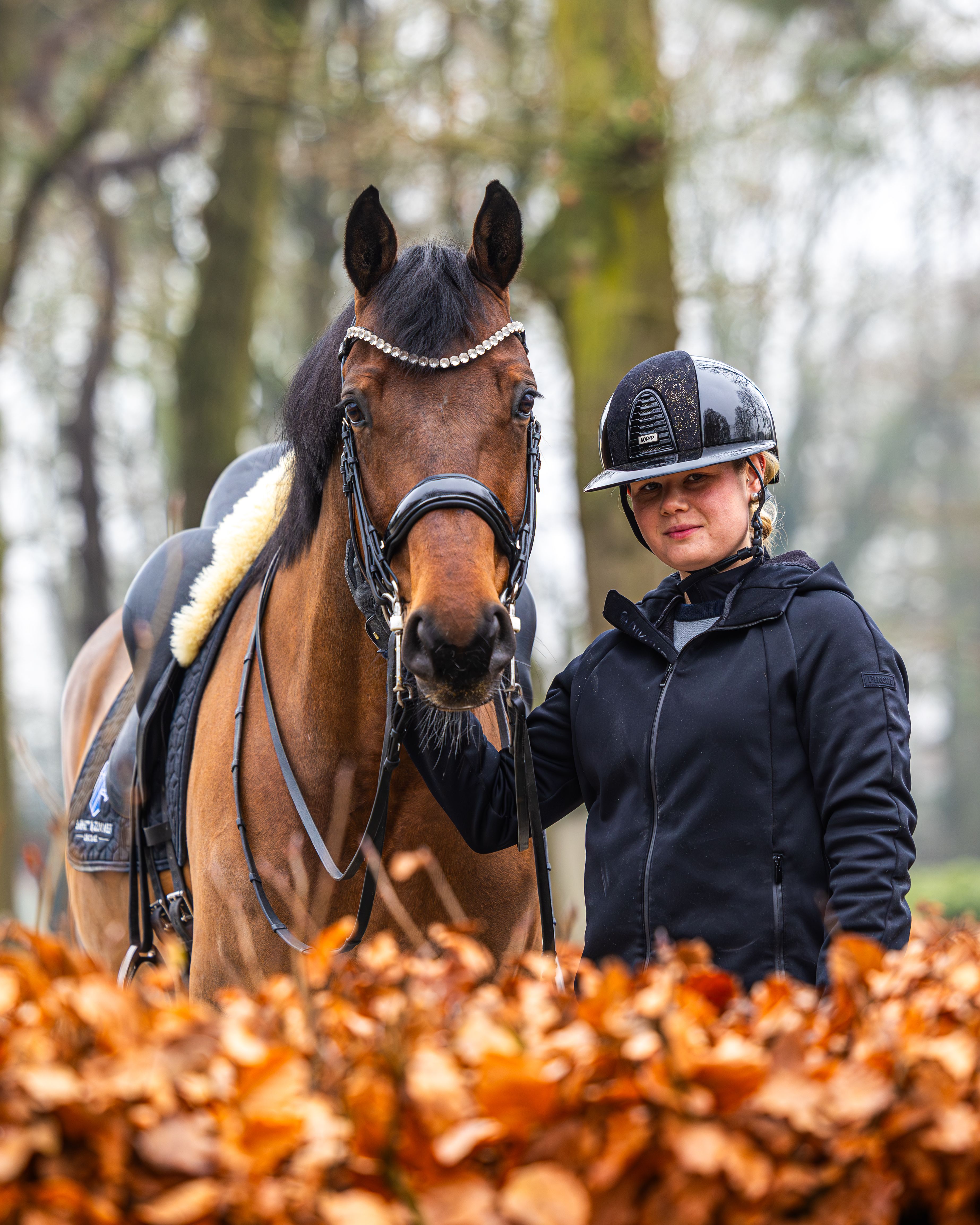 Rider standing next to horse behind hedge