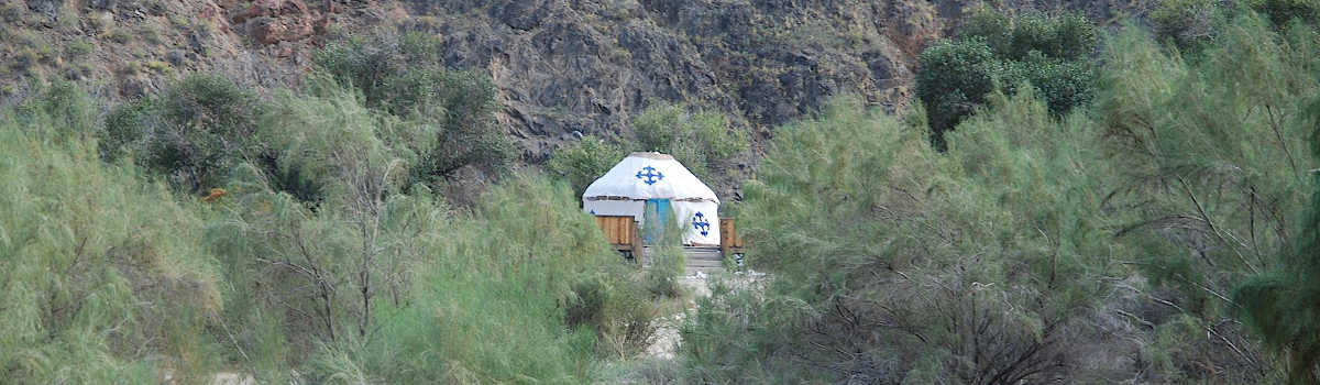 Traditional Kazakh yurt in the Kazakhstan steppe surrounded by trees, symbolizing the era of the Kazakh Khanates.