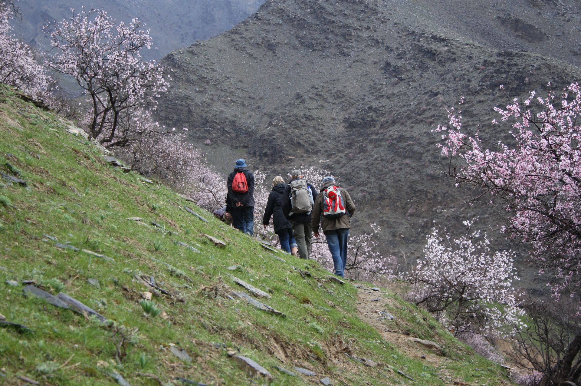 Usbekistan Reisen: Kultur, Natur & Seidenstraße
