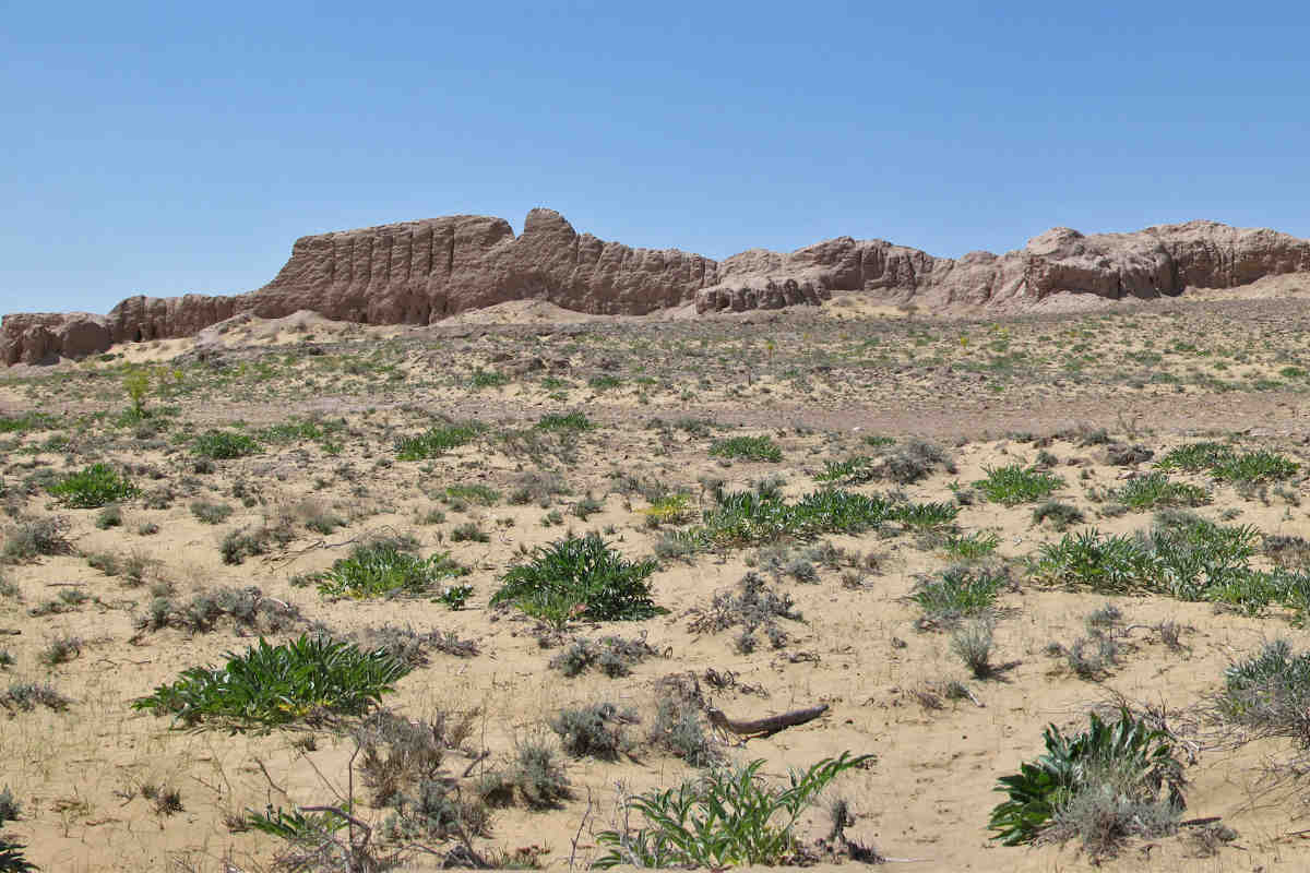 Antica fortezza Ayaz Kala 3 in Karakalpakstan, Uzbekistan, un punto di riferimento storico nel deserto di Kysylkum.
