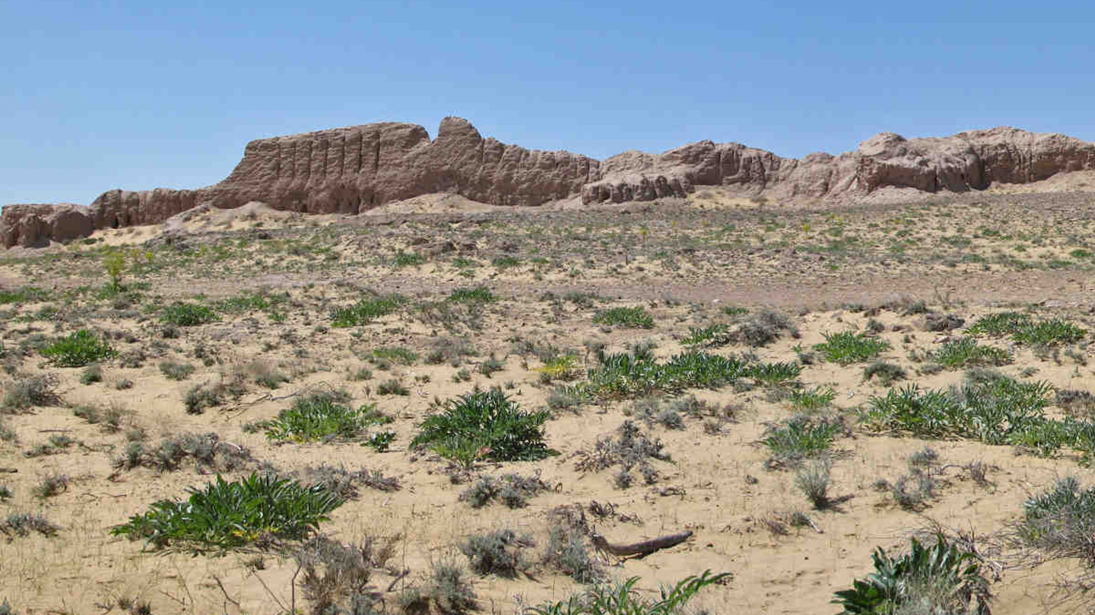 Antica fortezza Ayaz Kala 3 in Karakalpakstan, Uzbekistan, un punto di riferimento storico nel deserto di Kysylkum.