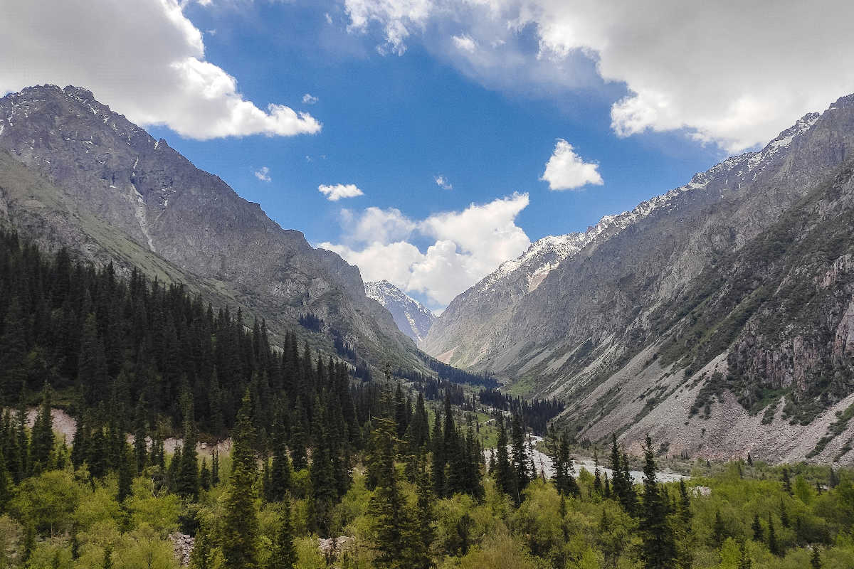 View of the Ala Archa Gorge near Bishkek, Kyrgyzstan. Majestic mountains and pine forests as a popular tourist attraction.
