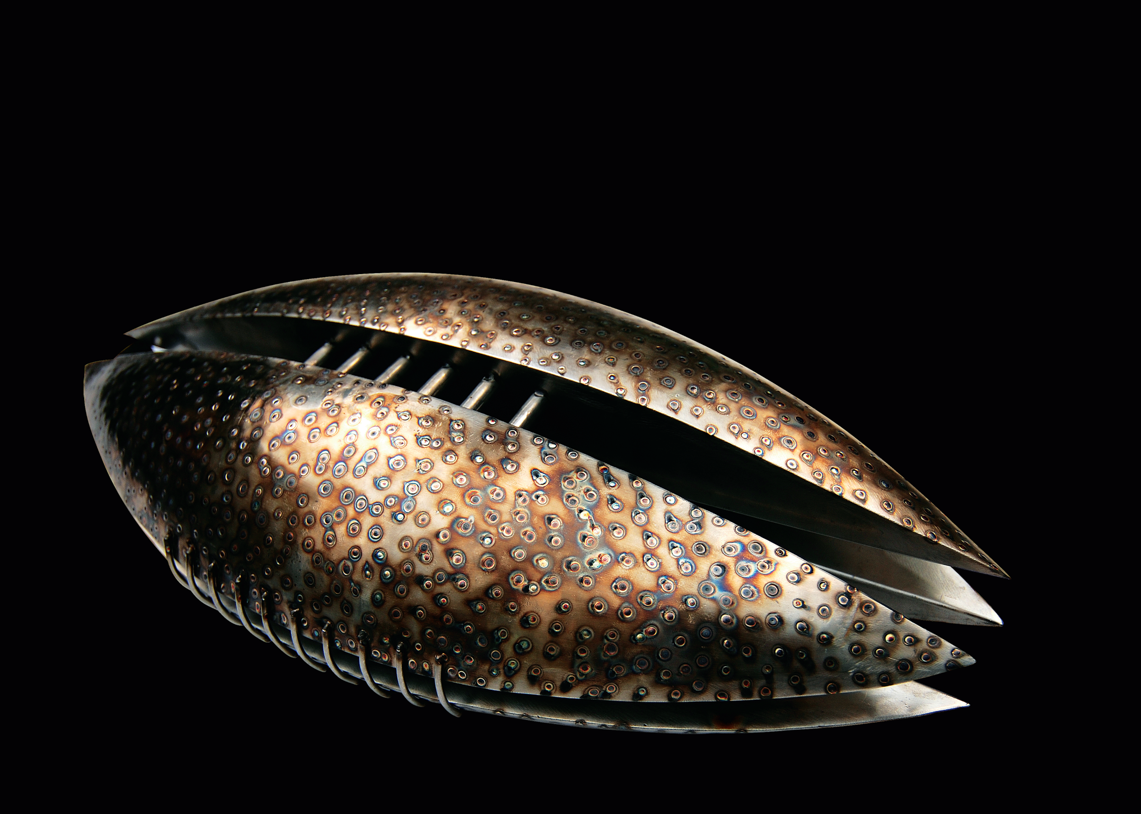 Embryo V