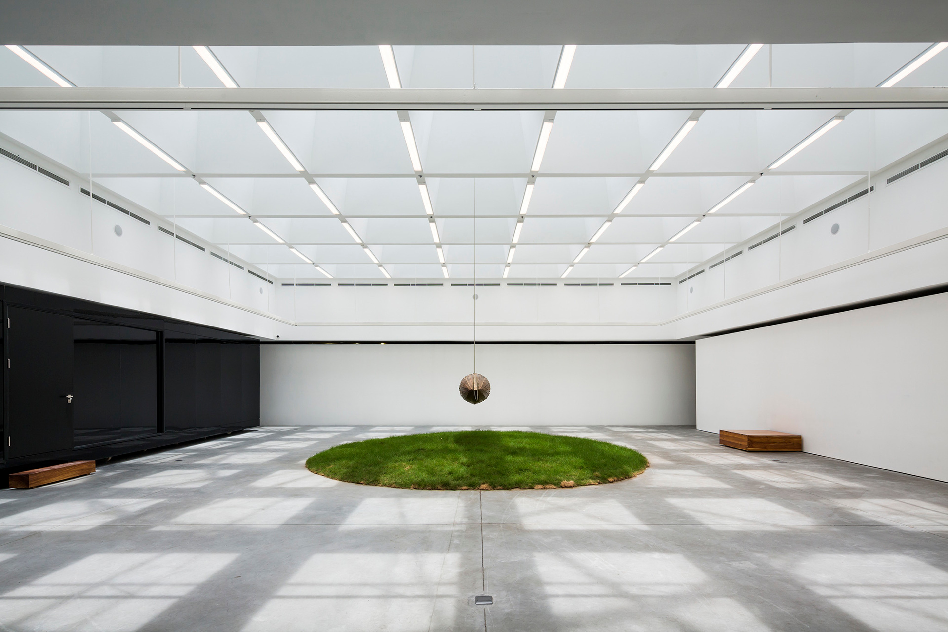Originarium, image 1 of 8
