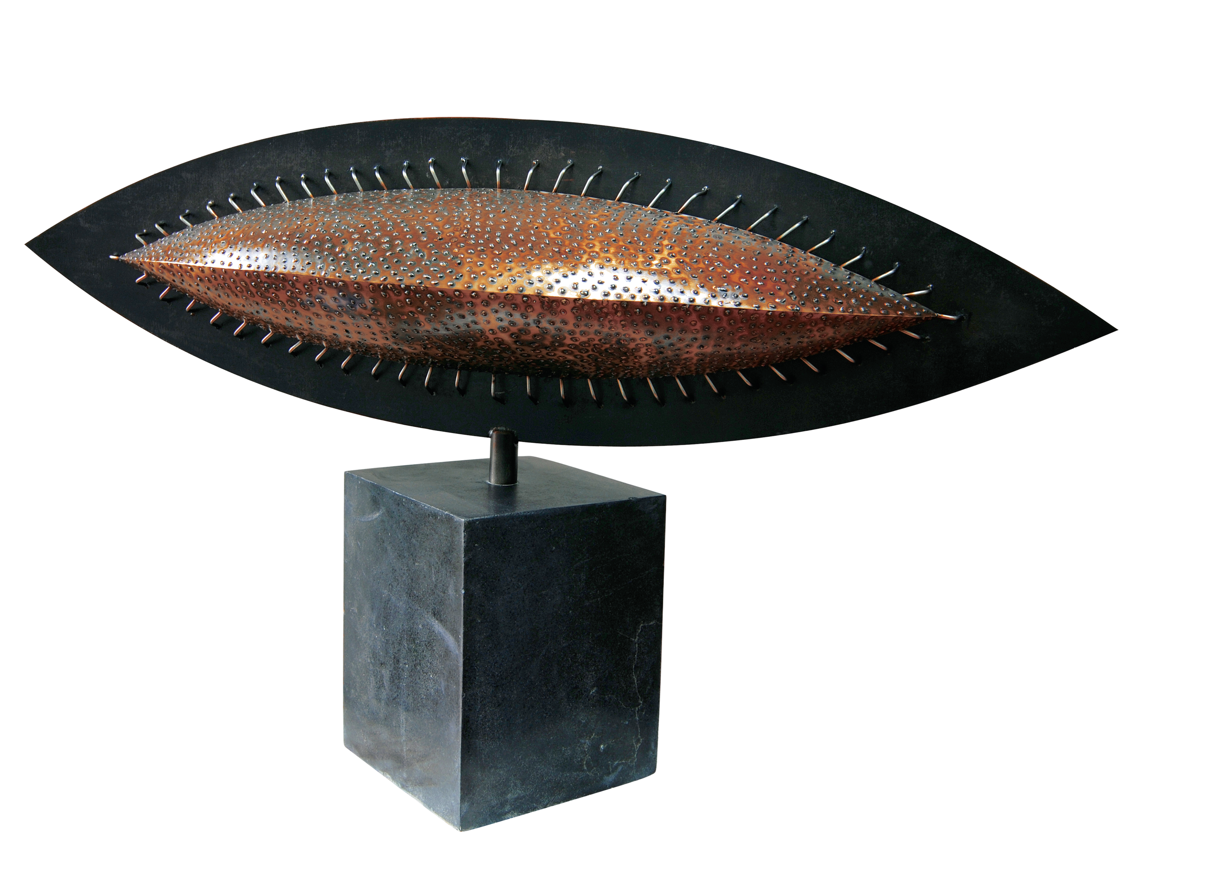 Seed VI