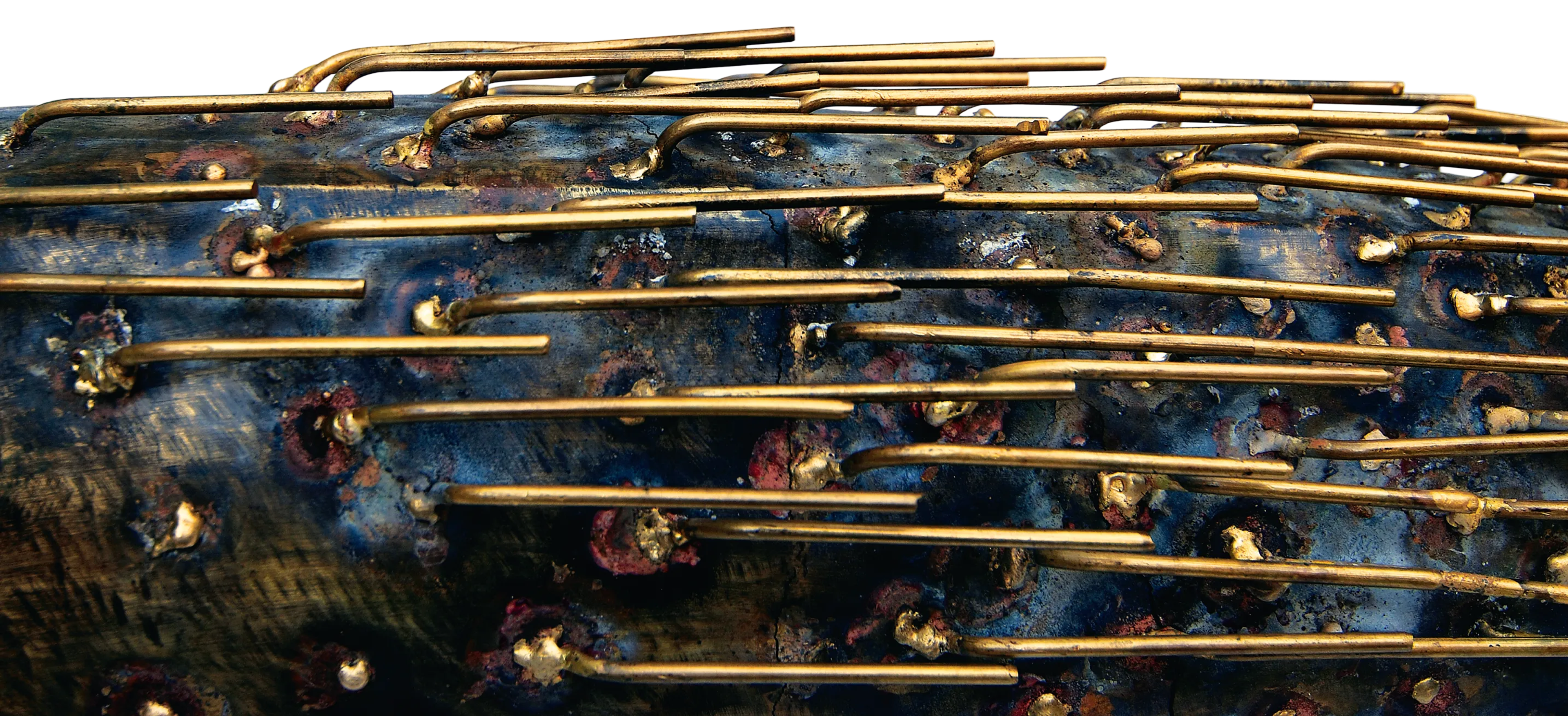 Wild Rice, image 1 of 2