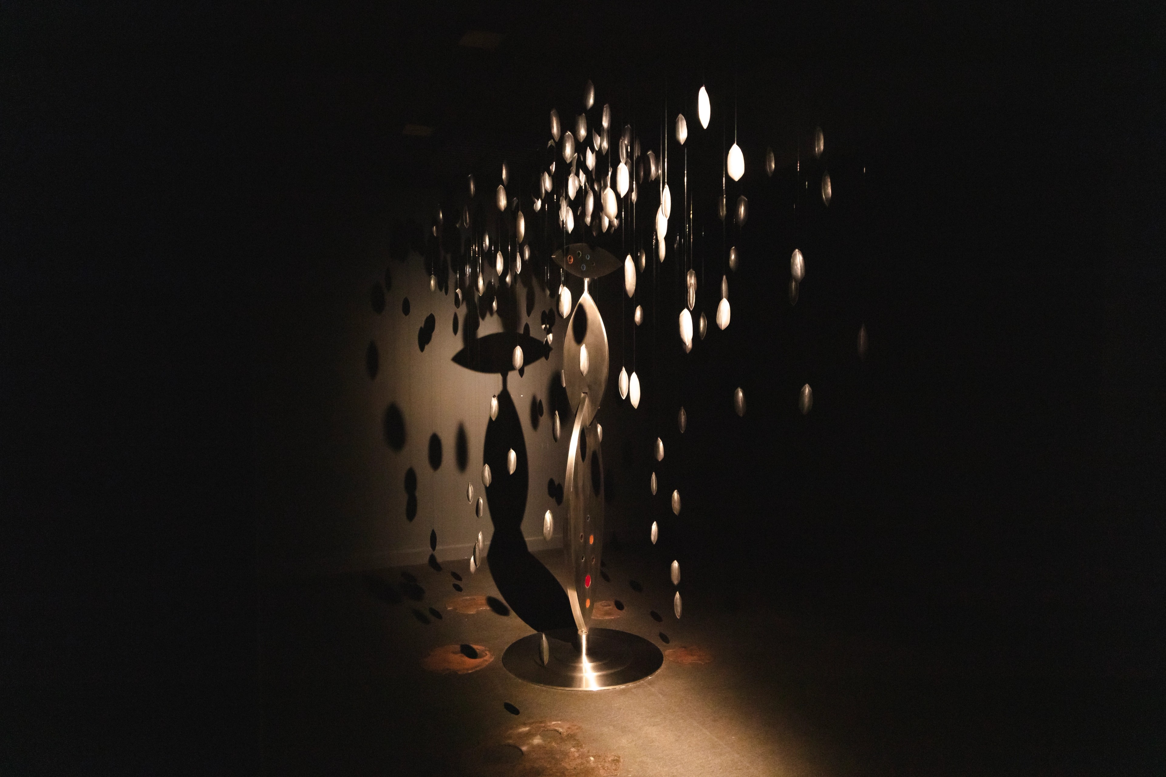 Sediment V, image 1 of 8