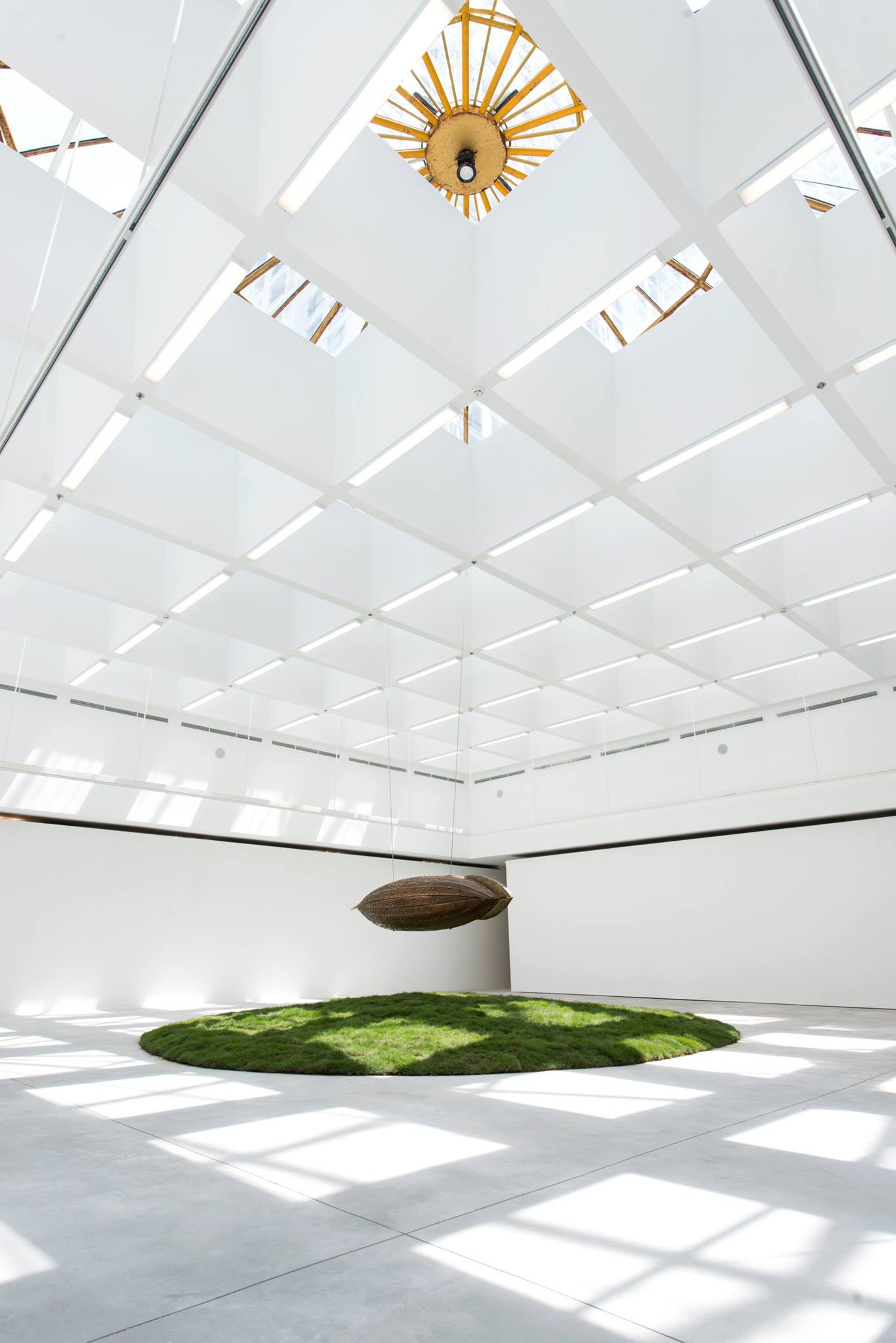 Originarium, image 1 of 8