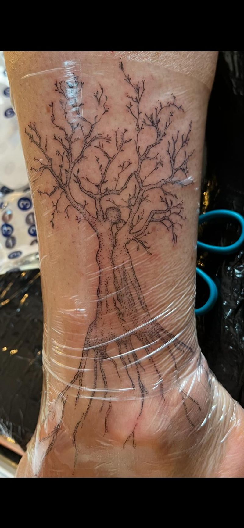 Arbre - couple