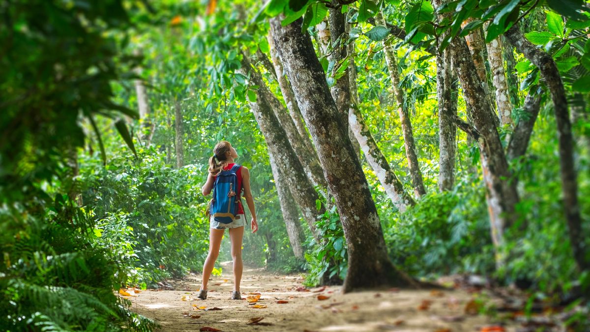 Looking on with amazement at the trees along the forest trail