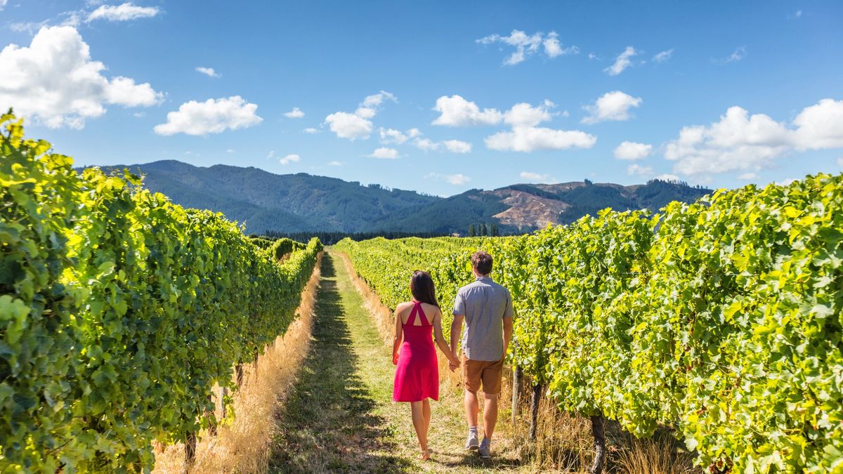 A couple walks through rows of grape vines on a private farm tour
