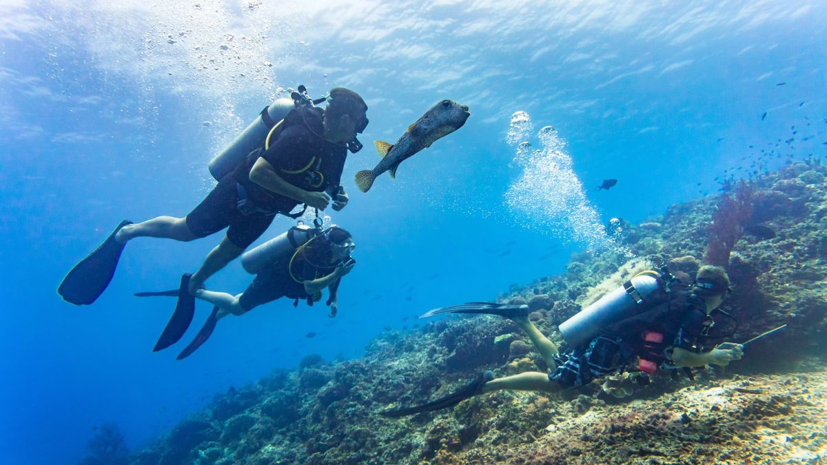 Tourists take time on their vacation to go scuba diving with a guide