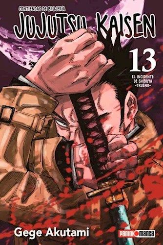 JUJUTSU KAISEN #13