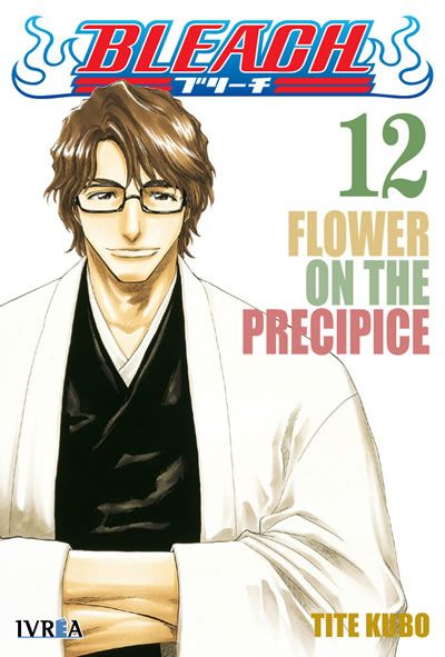 BLEACH REMIX #12