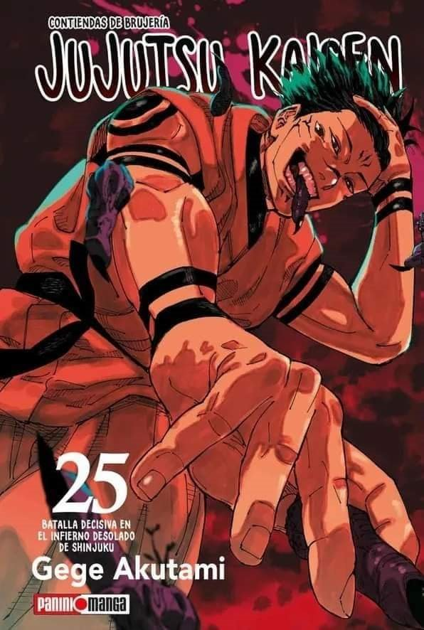 JUJUTSU KAISEN #25