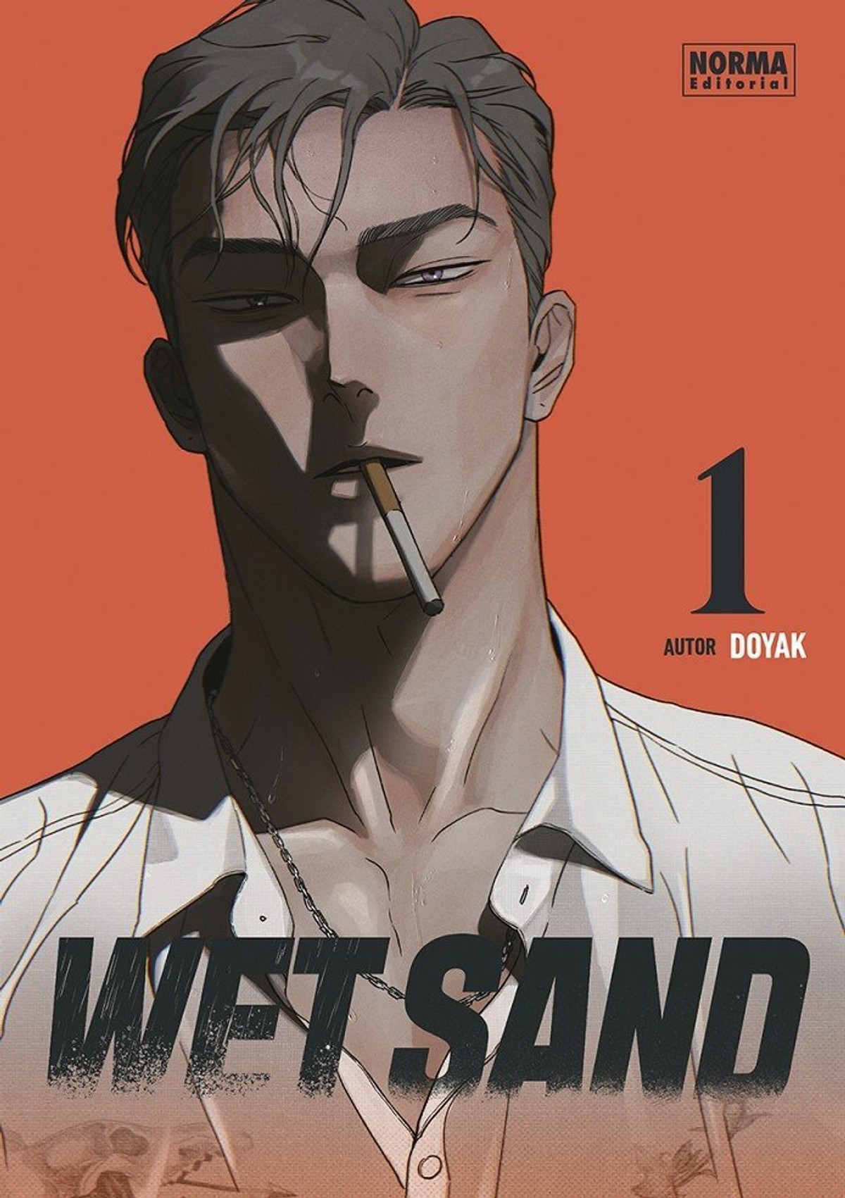 WET SAND 01 NORMA