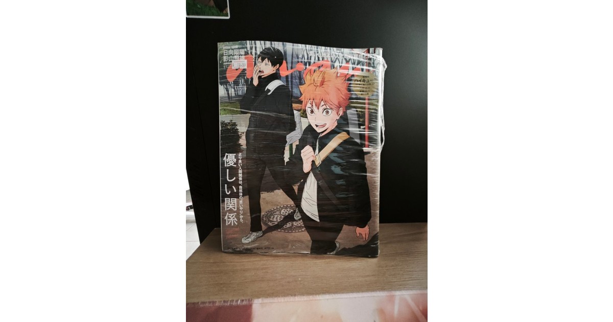 Special Edition Haikyuu!! Japanese Magazine