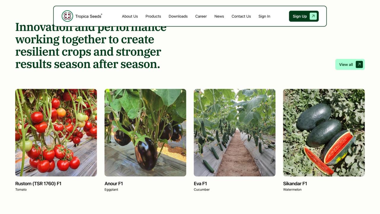 Homepage product highlights: Rustom F1 tomato, Anour F1 eggplant, Eva F1 cucumber and Sikandar F1 watermelon