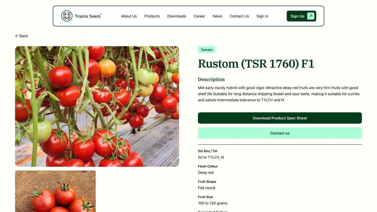 Rustom (TSR 1760) F1 tomato product page with specs and a spec sheet download button