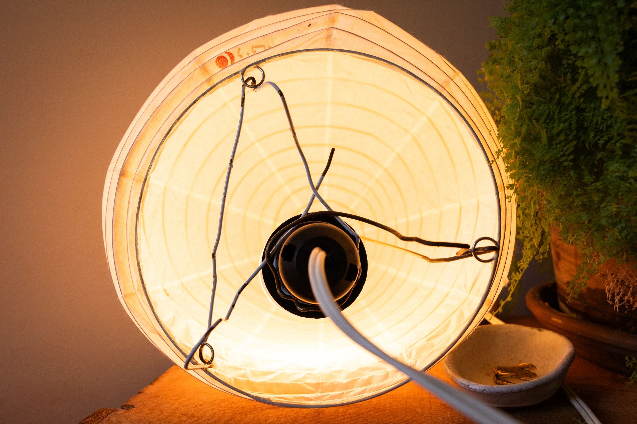 The lantern at an angle, ribs and mended lines catching the light.