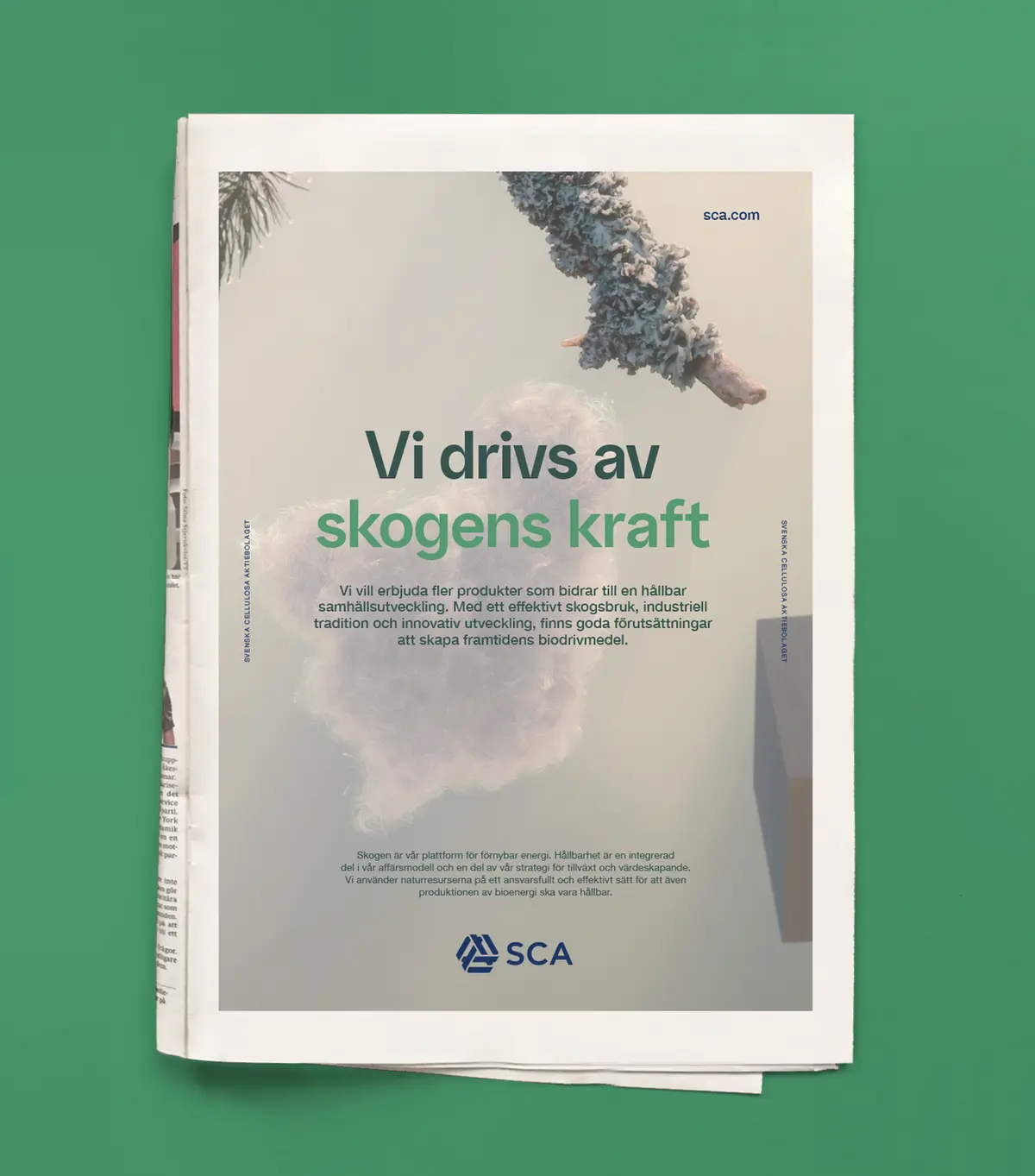 The force of the forest