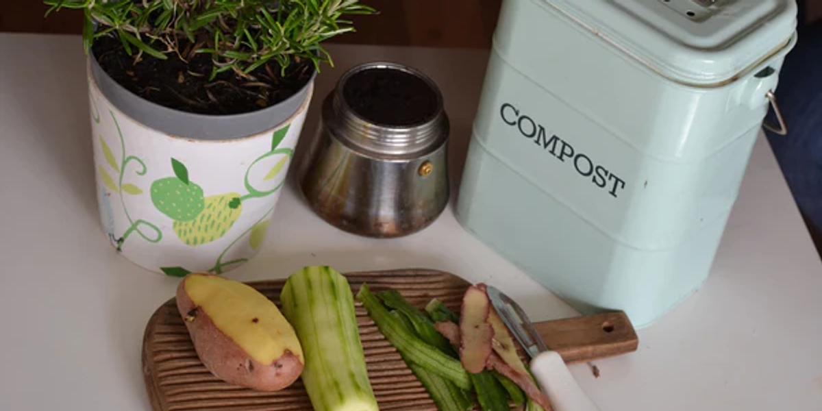 A compost bin with a potted plant and a chopping board with cucumber and sweet potato on it