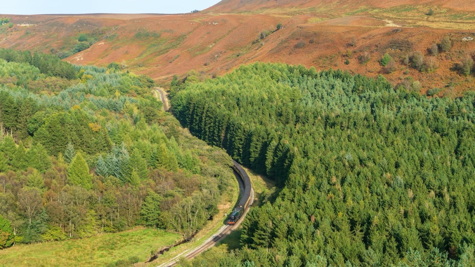 Train travelling through wooded countryside