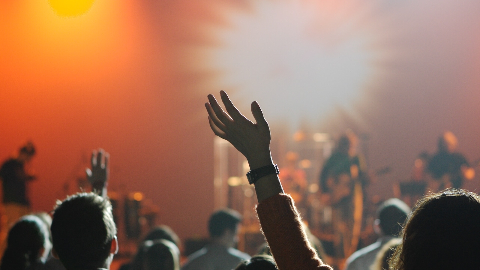 A hand in the air at a music concert