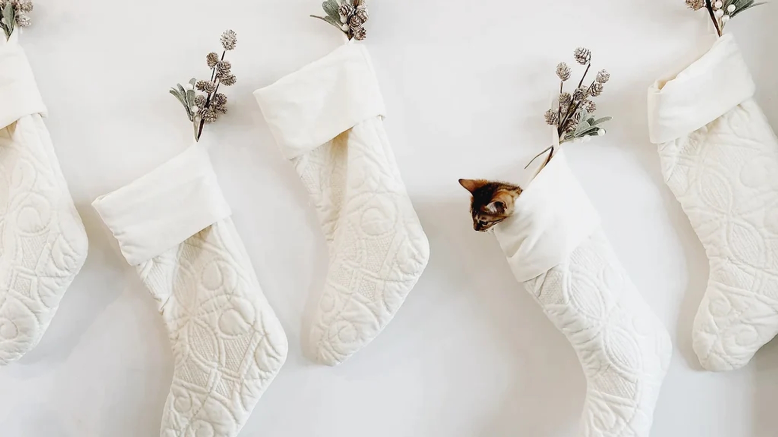 white Christmas stockings hanging on a wall