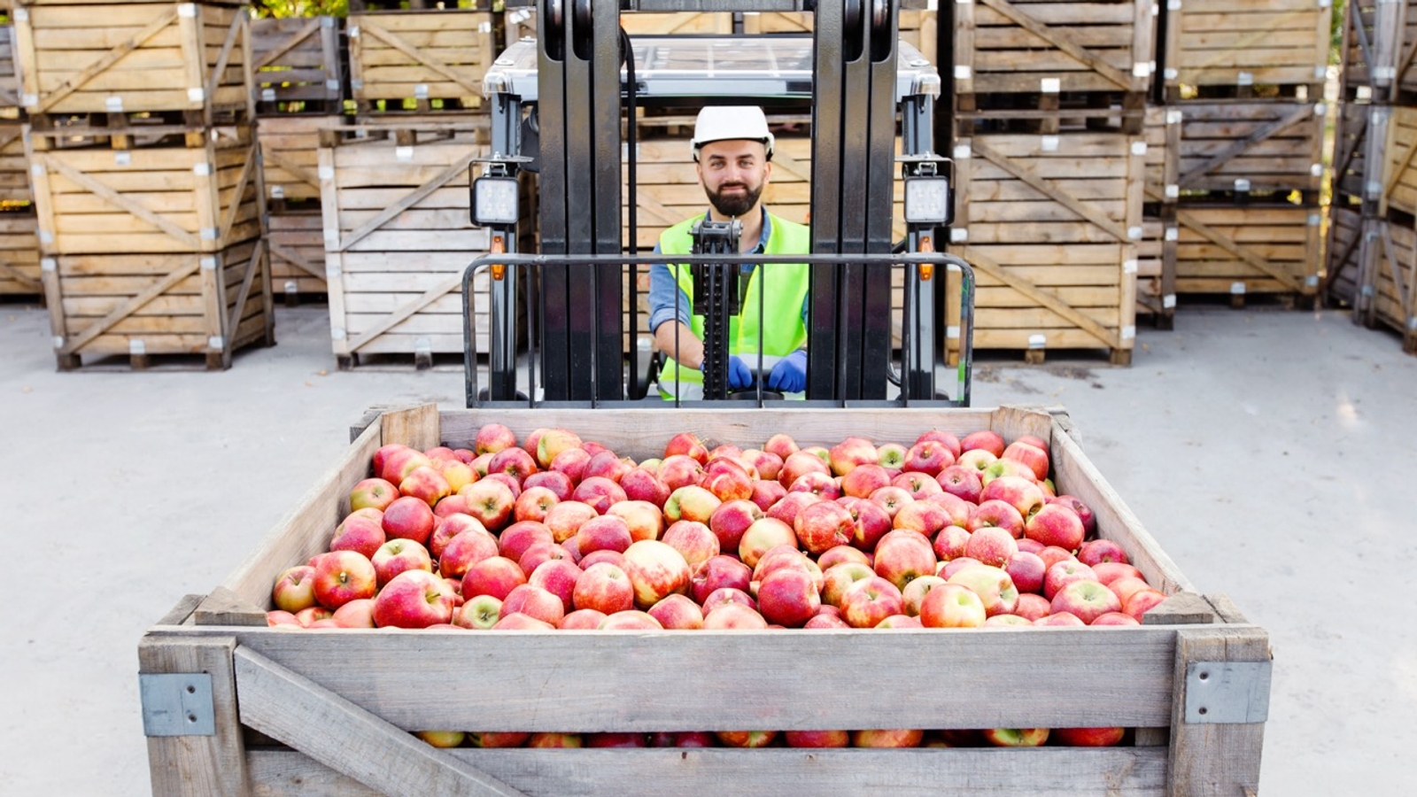 Boxes of apples in a crate on a forklift