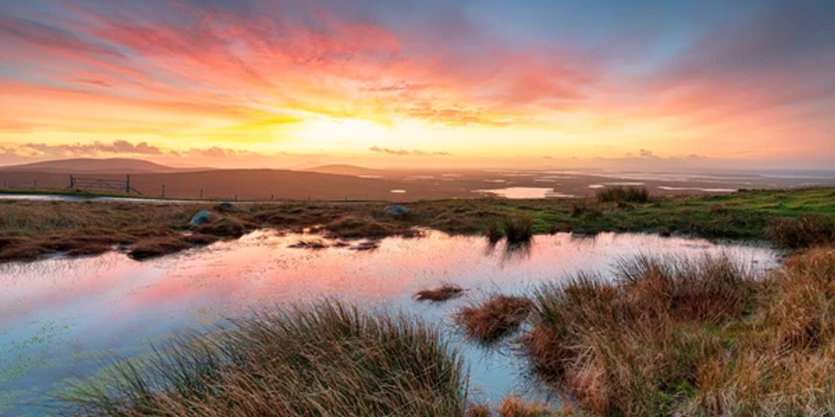 A landscape of peatland in Scotland, with a small pond of water in the foreground reflecting the sunset sky