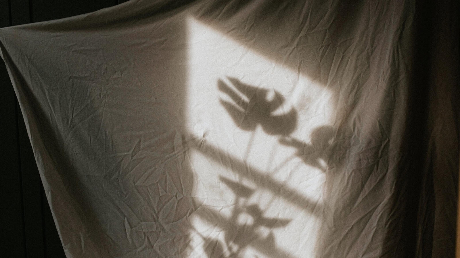 Shadow of a plant projected onto a white, crumpled fabric hanging, creating an artistic silhouette effect.