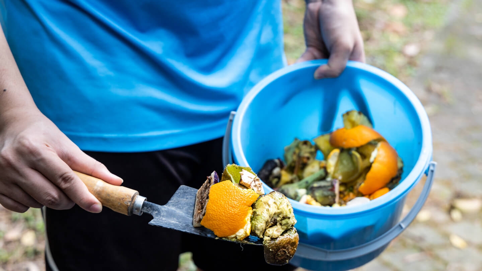A person holding a blue bucket and garden trowel, disposing of kitchen waste like fruit and vegetable scraps into it, likely for composting.