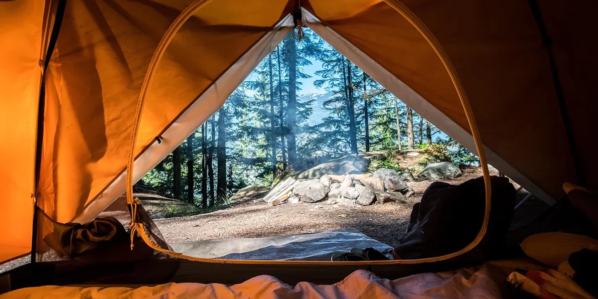 A tent from the inside looking out at a forest