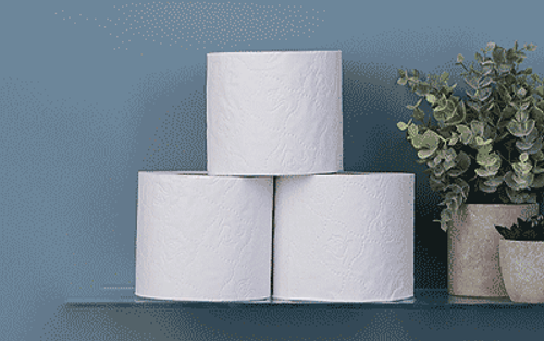 Toilet Roll & Tissues