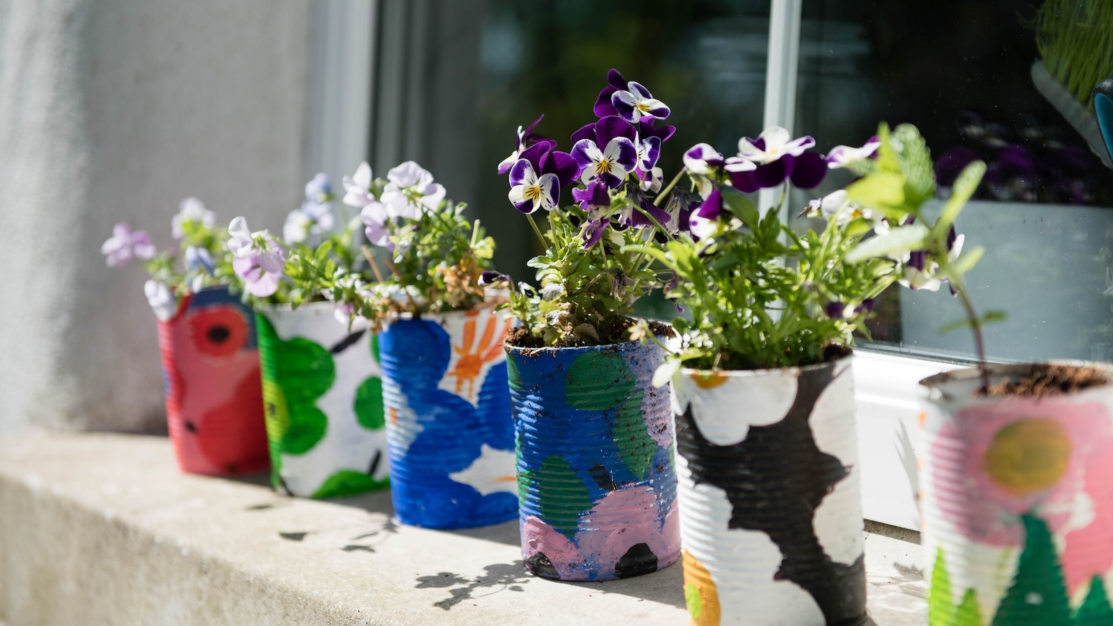Plant pots made using tin cans on a windowsill with plants growing in them