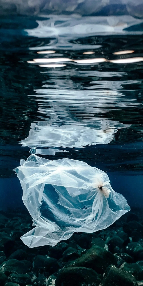 A plastic bag floating underwater