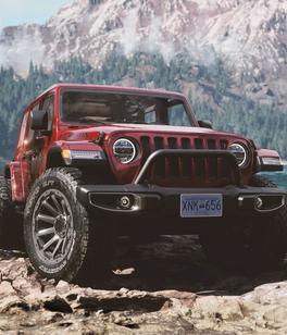
            Piece image for Jeep Wrangler
            made by David Baylis
          