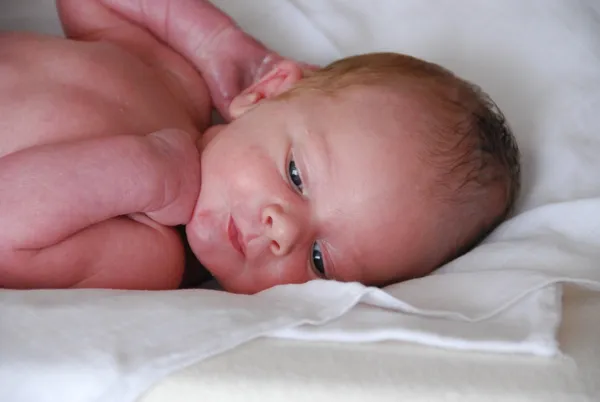 Haptonomische zwangerschapsbegeleiding