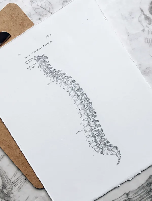 Rug- en bekkenklachten