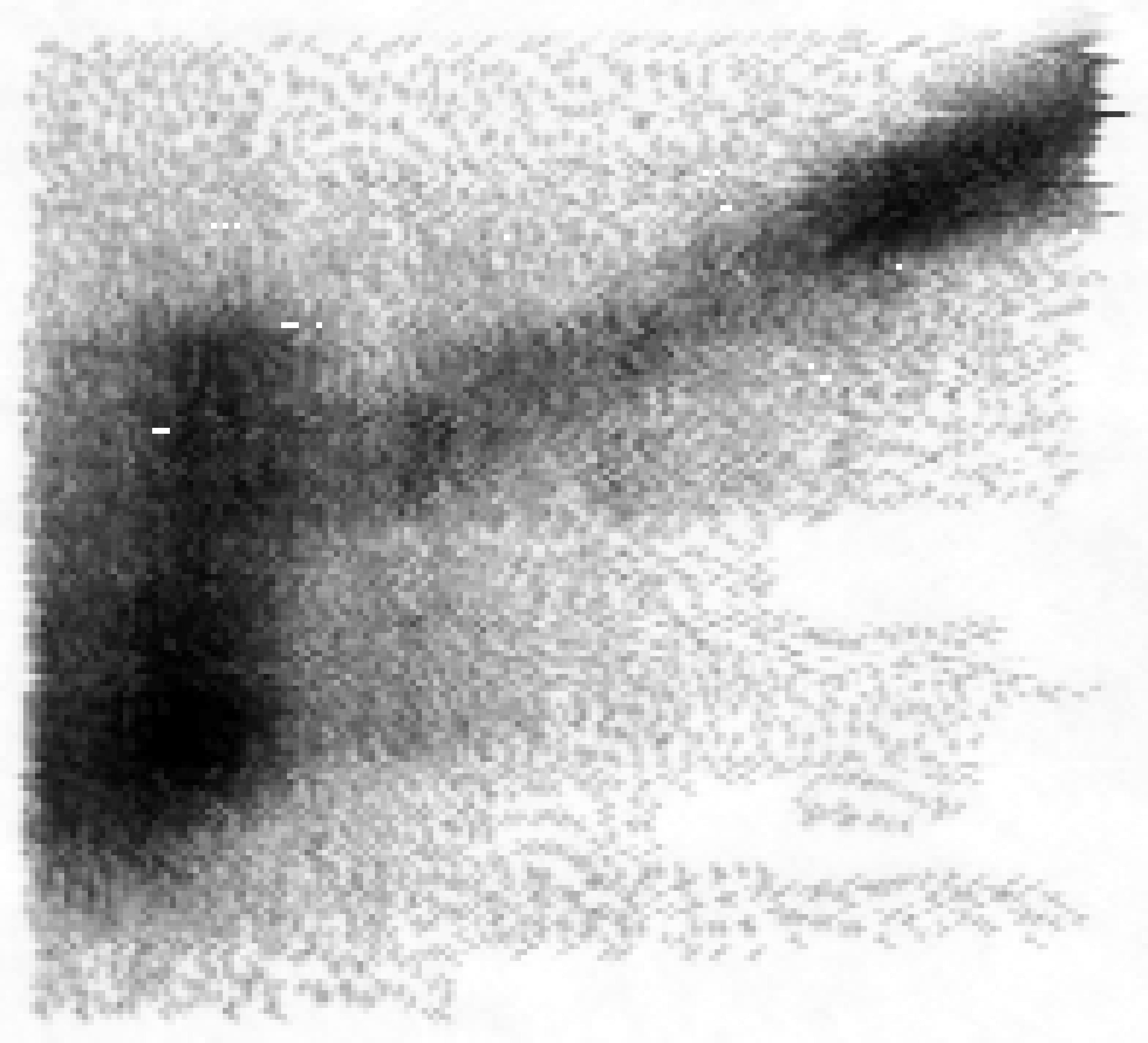 kl19-014-pointscan