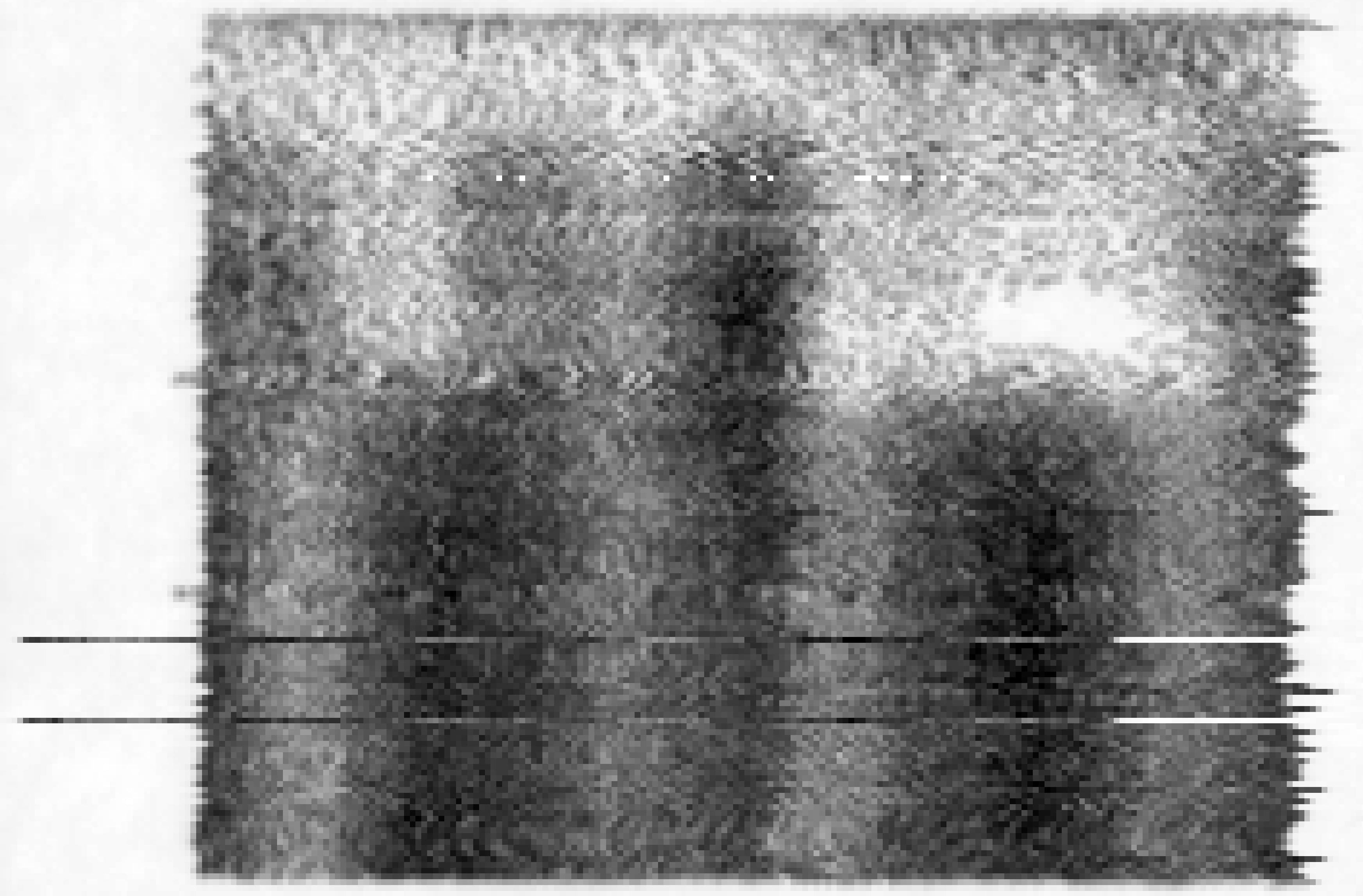 kl19-008-pointscan