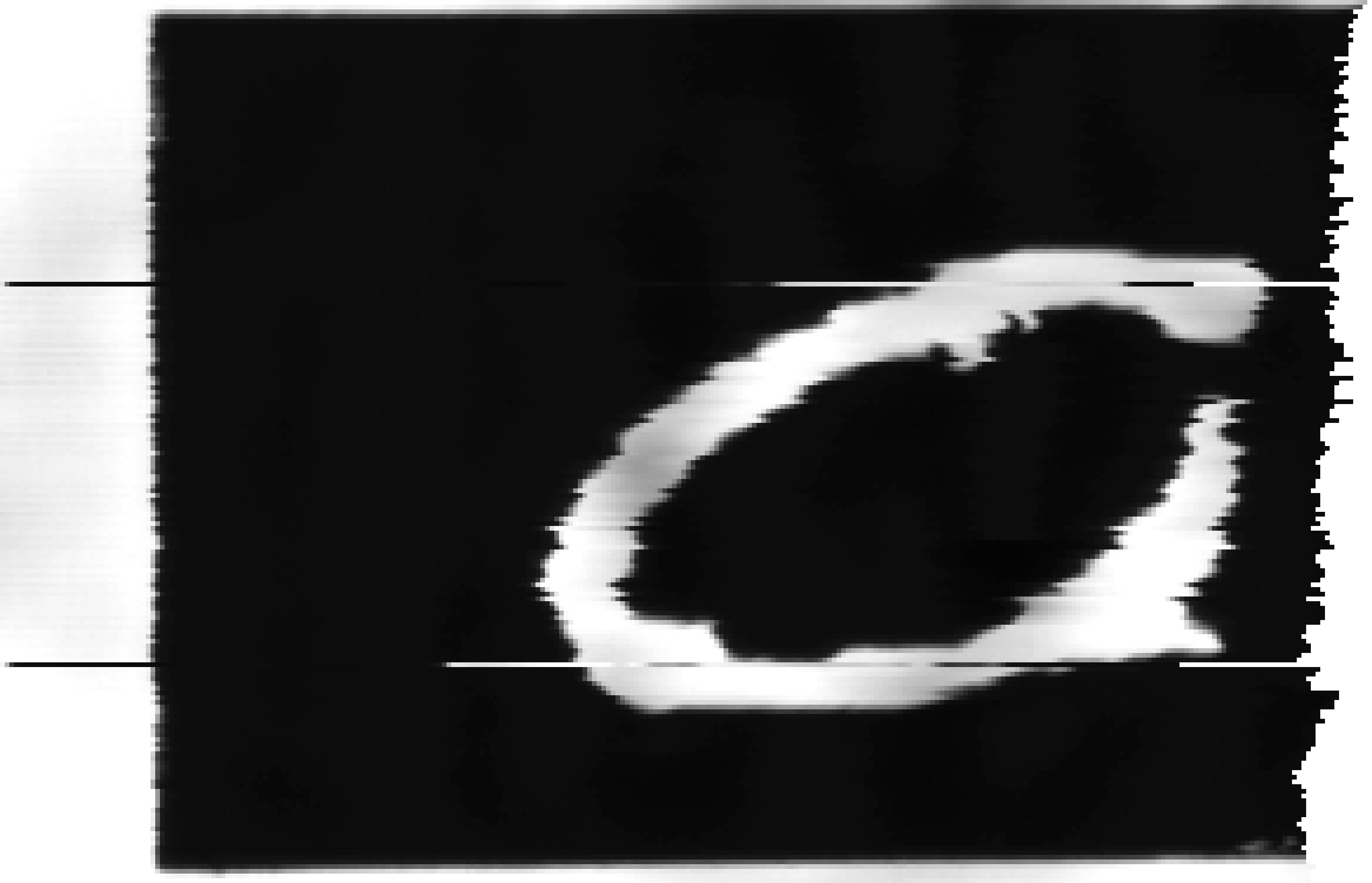 dl01-033-pointscan2