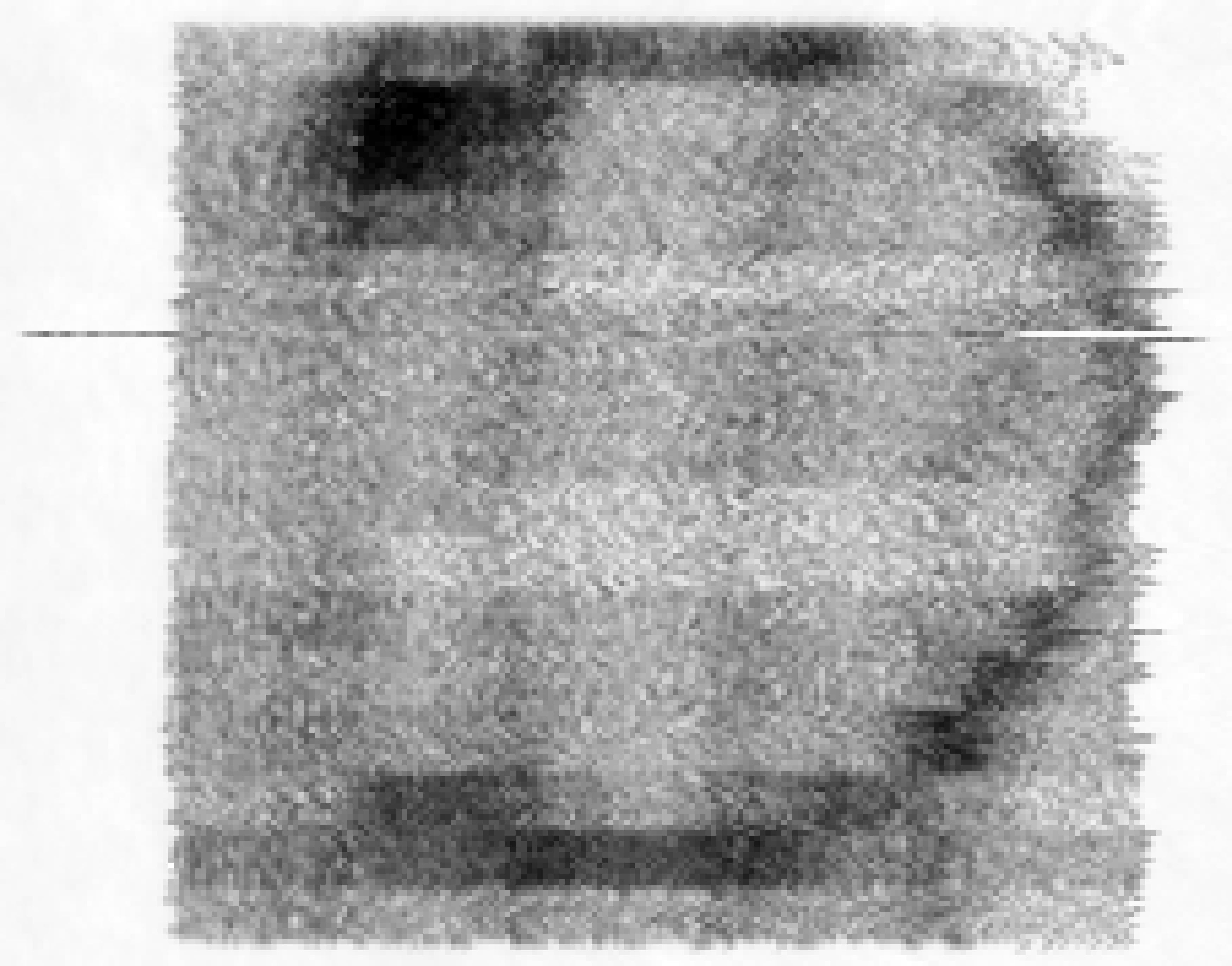 kl19-005-pointscan