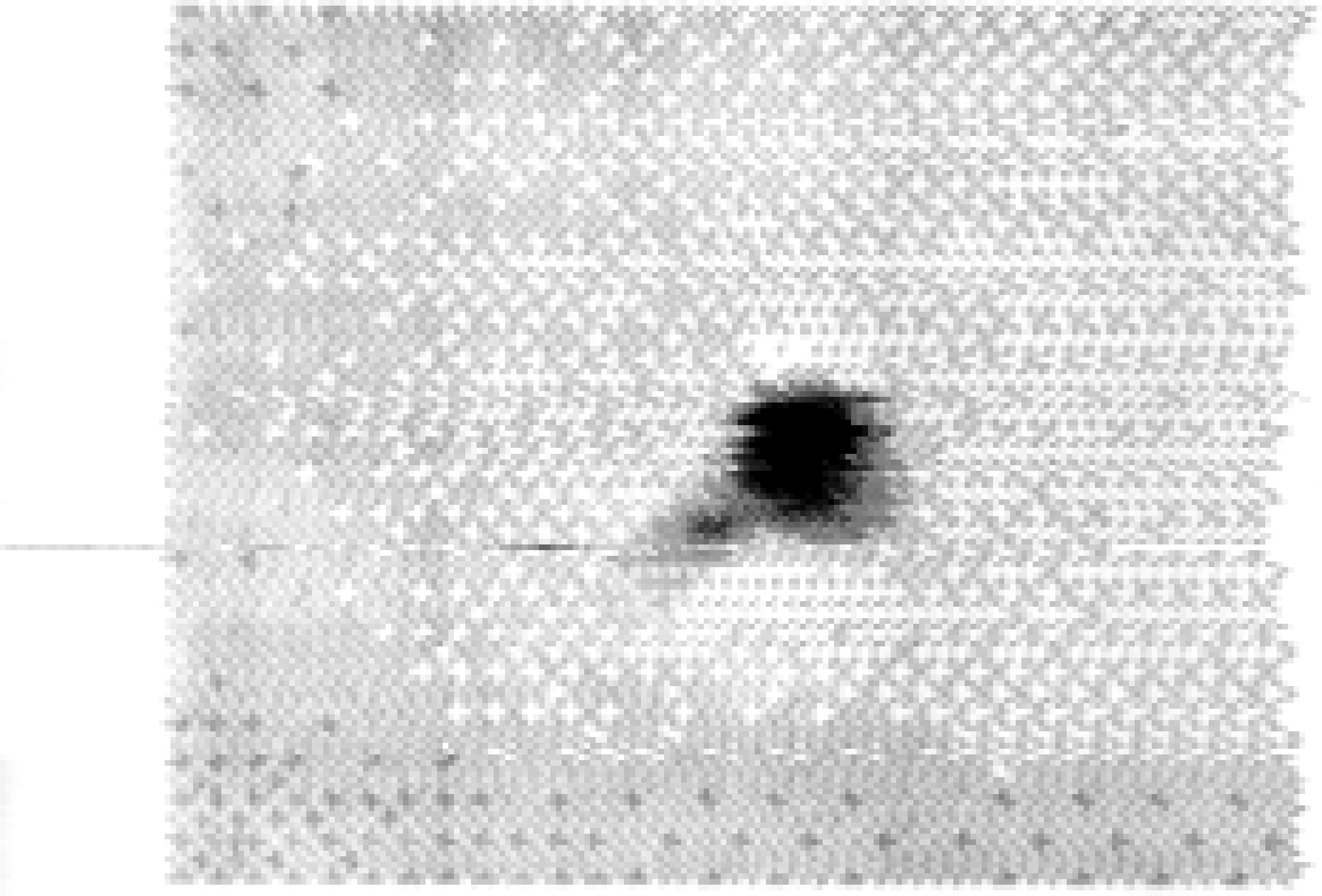 ml61-011-pointscan