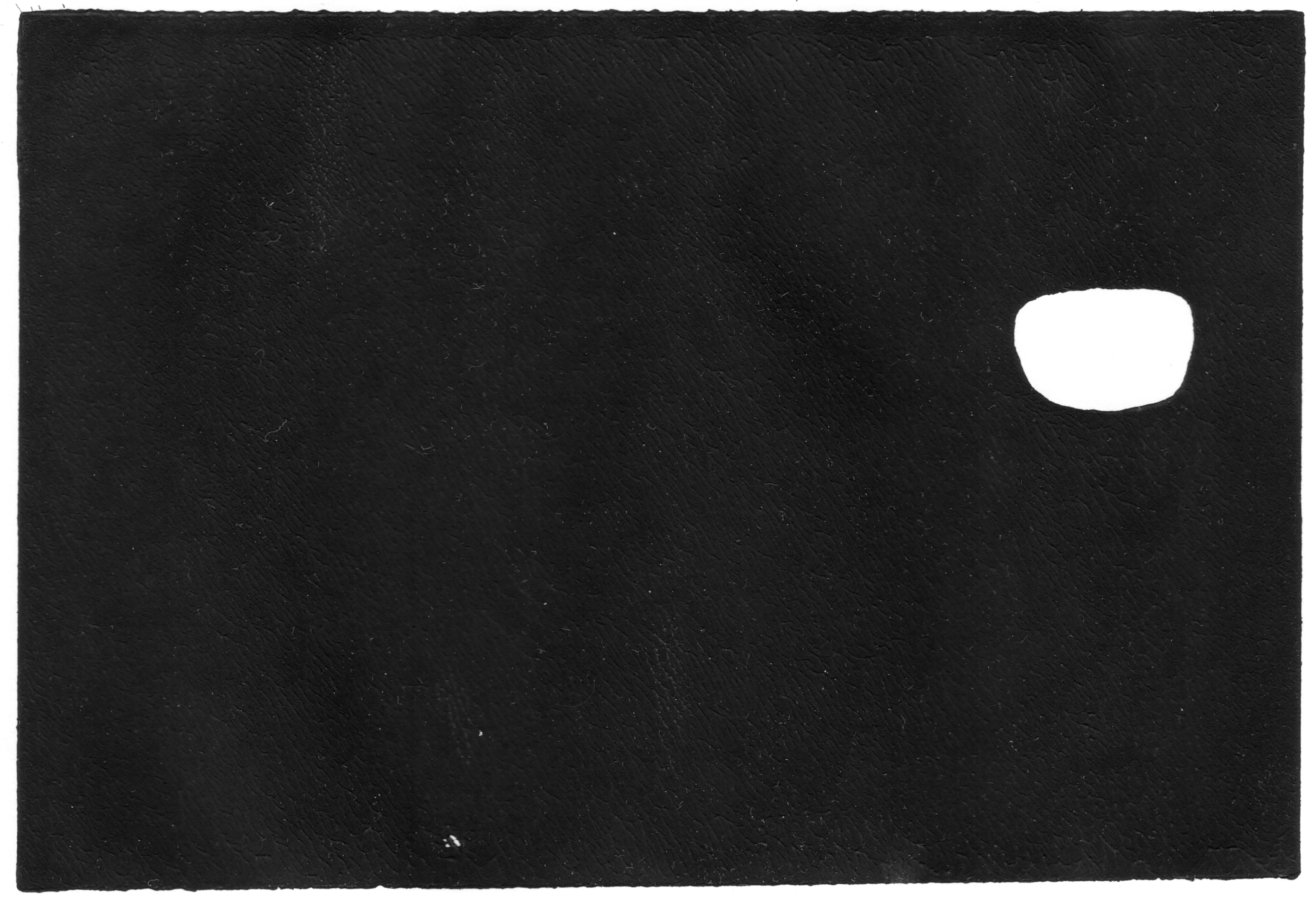 ml61-017-linoprint