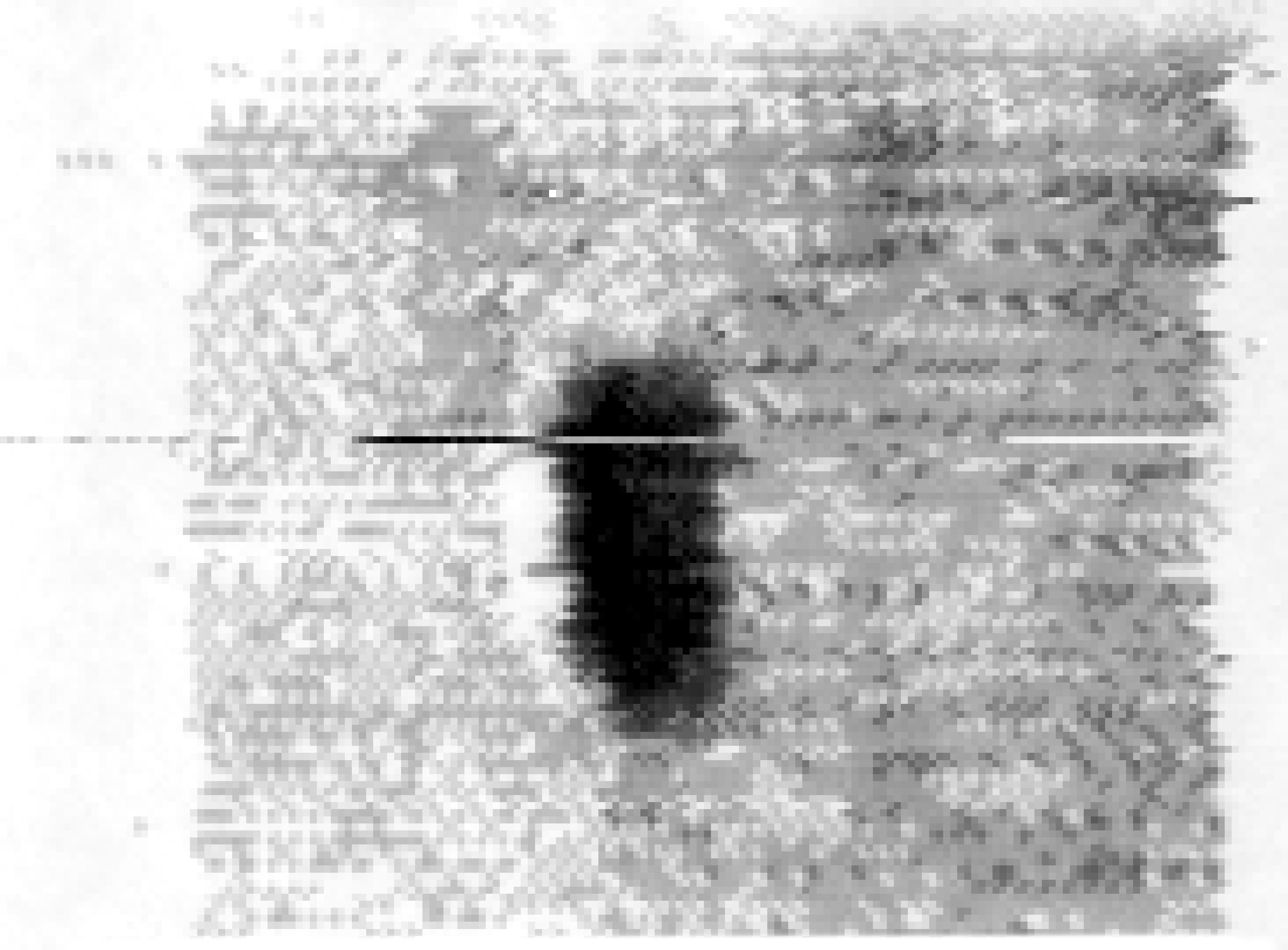 dl01-011-pointscan2