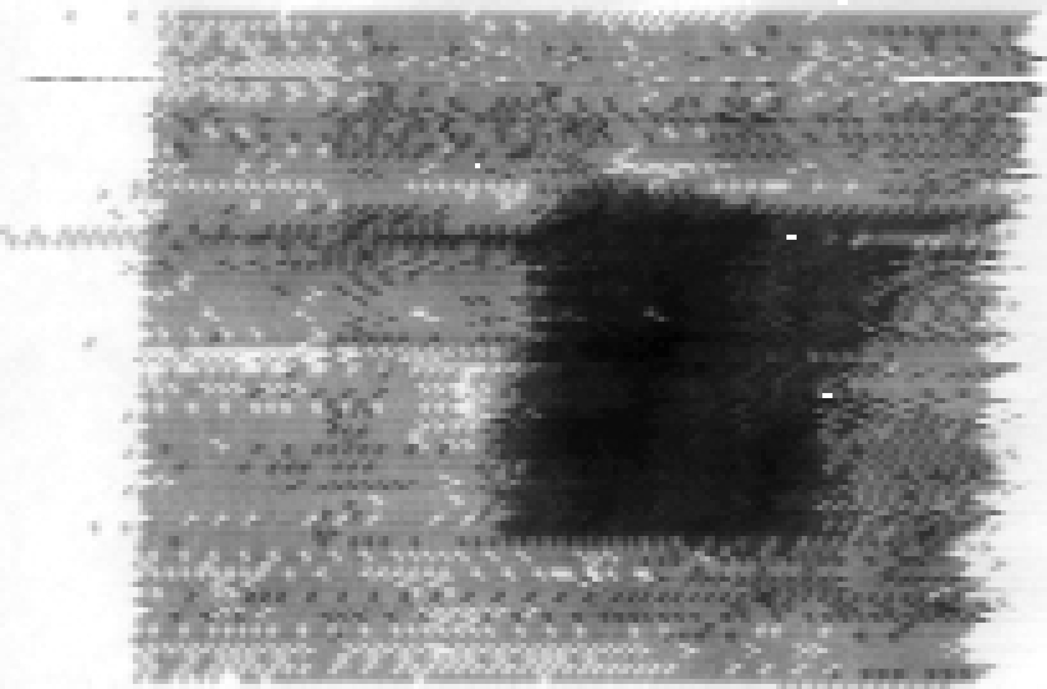 dl01-025-pointscan2