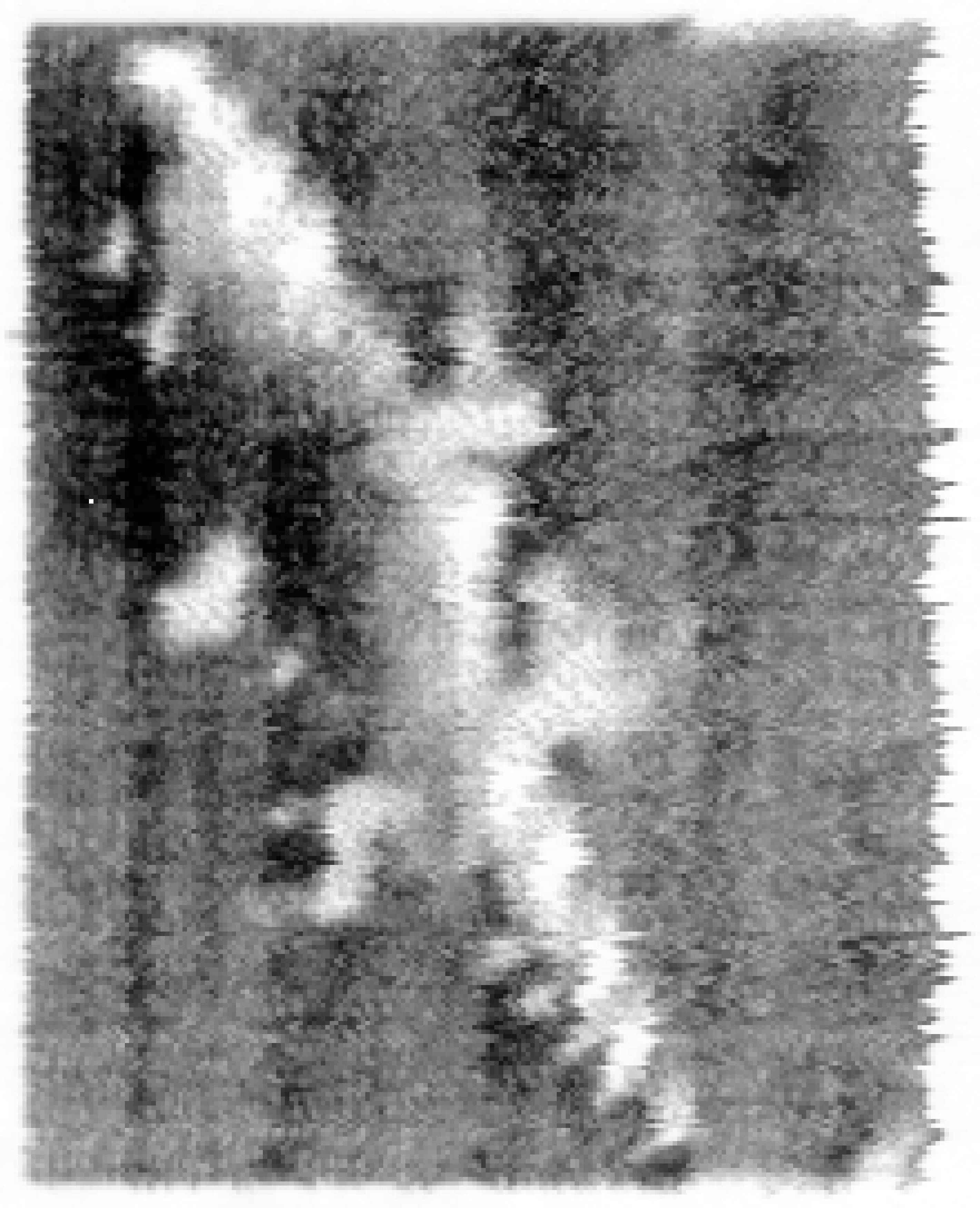 kl19-001-pointscan